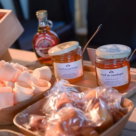 Ibis Ferrand Sud Herbet Otel Clermont-Ferrand