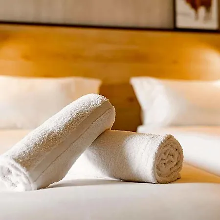 Ibis Ferrand A71 A75 La Meridienne 3*