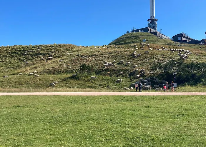 Hotell Ibis Ferrand A71 A75 La Meridienne